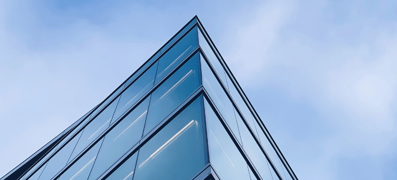 2733970bea0c4a9f0f9e363c1686d7a2